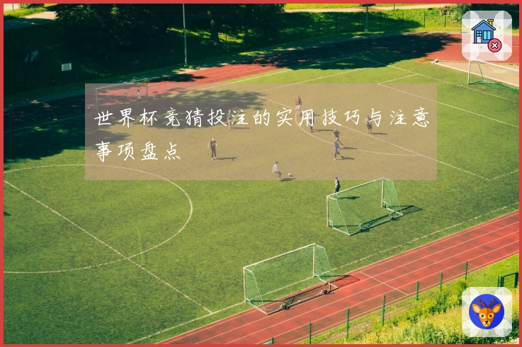 世界杯竞猜投注的实用技巧与注意事项盘点