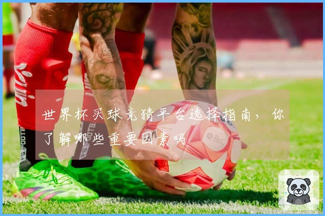 世界杯买球竞猜平台选择指南，你了解哪些重要因素吗