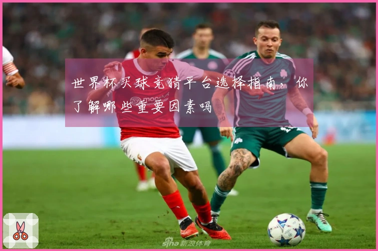 世界杯买球竞猜平台选择指南，你了解哪些重要因素吗