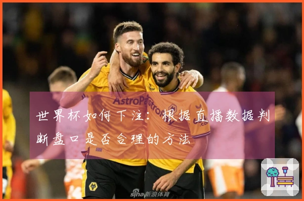 世界杯如何下注：根据直播数据判断盘口是否合理的方法