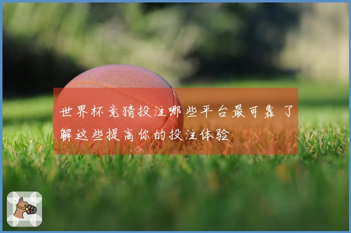 世界杯竞猜投注哪些平台最可靠 了解这些提高你的投注体验