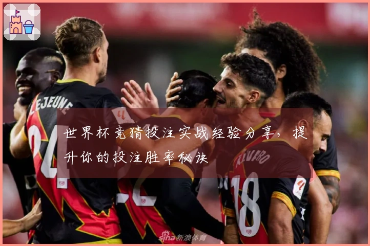 世界杯竞猜投注实战经验分享，提升你的投注胜率秘诀