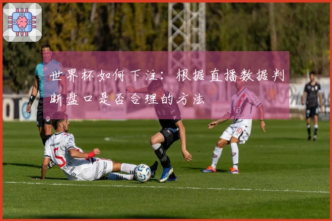 世界杯如何下注：根据直播数据判断盘口是否合理的方法