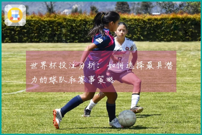 世界杯投注分析：如何选择最具潜力的球队和赛事策略
