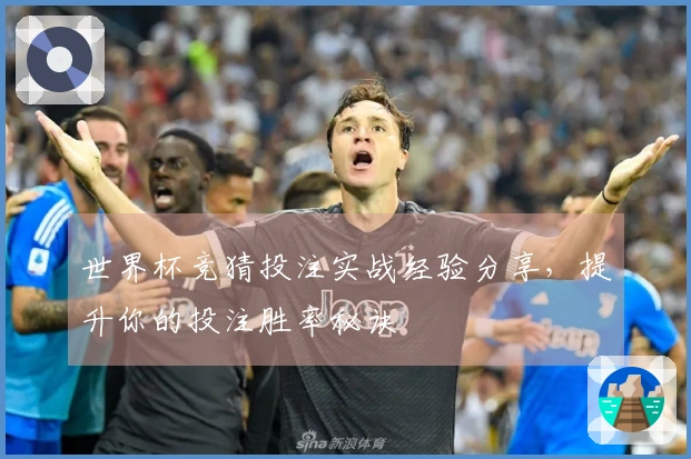 世界杯竞猜投注实战经验分享，提升你的投注胜率秘诀